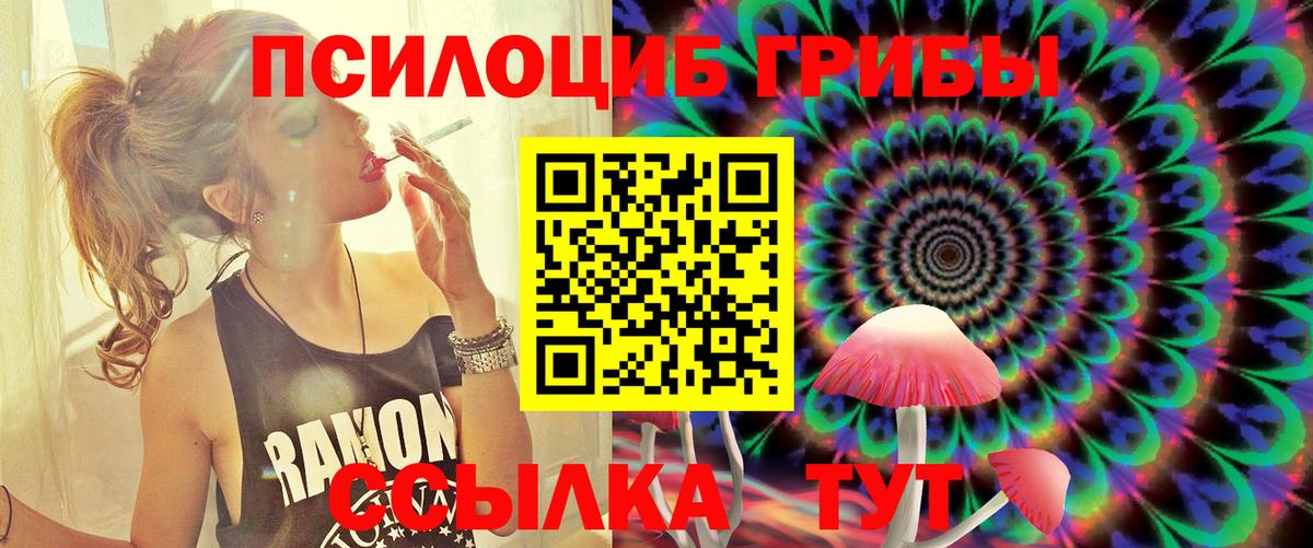 Чапаевск  Галлюциногенные грибы Psilocybine cubensis  Вход с VPN  Галлюциногенные грибы ЛСД 
